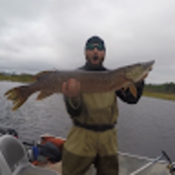 fishbacknh